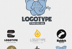 强劲且性能优异的网站ddos